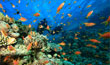 scuba diving in mauritius