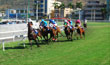 horse racing in mauritius