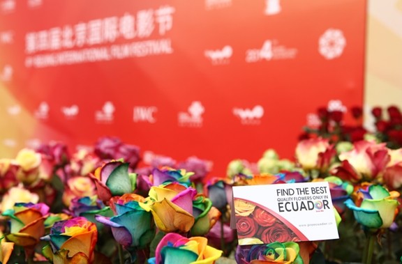 厄瓜多尔玫瑰点缀第四届北京国际电影节